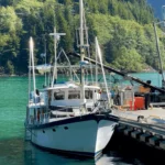 Steadier Seas Classic Lines Why We Chose Paravanes For Fortitude