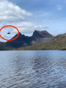 Steadier Seas Classic Lines Why We Chose Paravanes For Fortitude 4