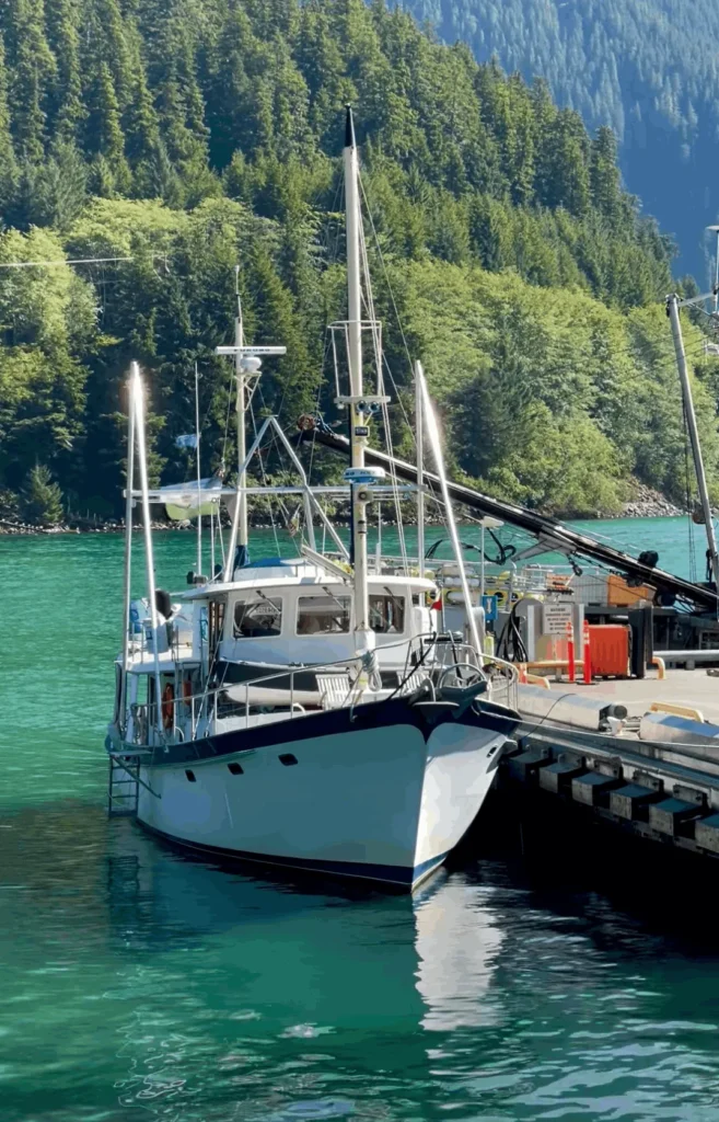 Steadier Seas Classic Lines Why We Chose Paravanes For Fortitude