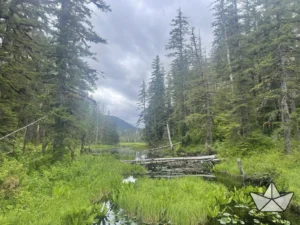 Seattle to Friday Harbor: A Long Weekend - Image 07 (May 2, 2026)