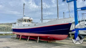 Seattle to Friday Harbor: A Long Weekend - Image 11 (May 2, 2026)
